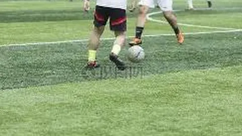 胡歌澄清与王家卫合作无目的传闻，马伊琍、唐嫣、辛芷蕾尚未欣赏《繁花》完整版