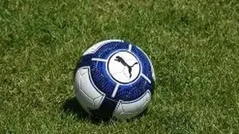 开云体育app评价 产品 094157 dms