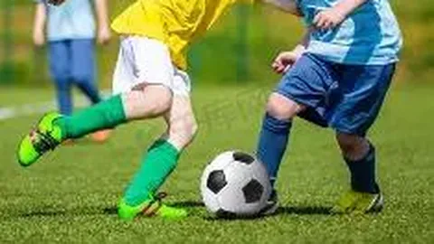 开云体育app评价 资讯 091034 sew