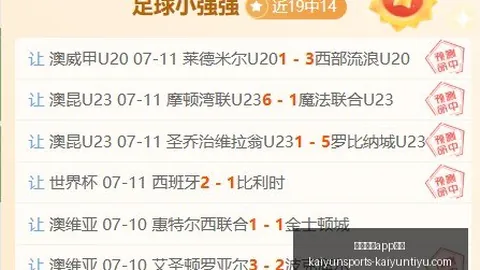 开云体育评价 140812
