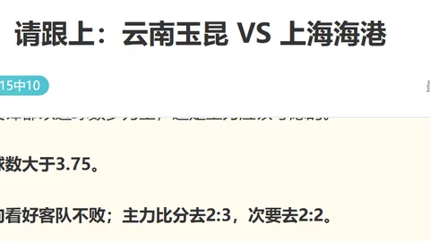 开云体育评价 145657